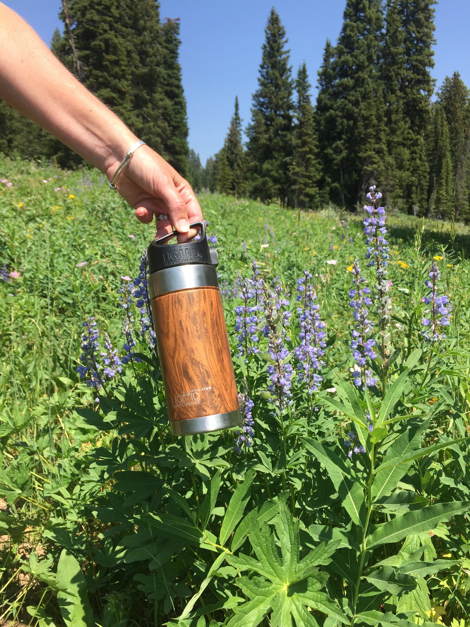 The Significance of Opting for Water Bottles free from BPA