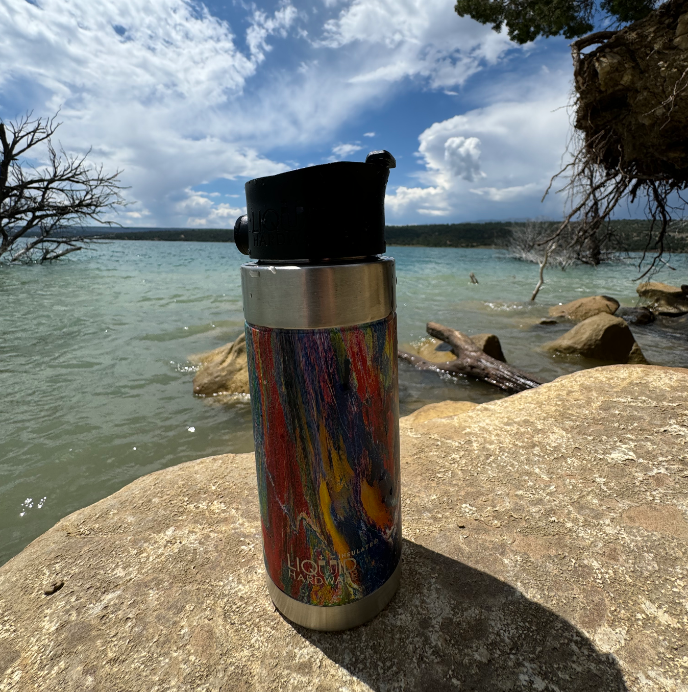 The Importance of Using BPA-Free Water Bottles